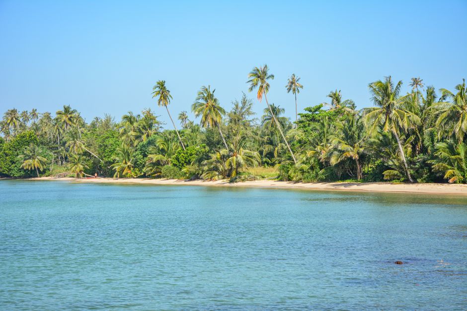 Serene and lush beach scene on Ko Mak island, showcasing palm trees and tranquil blue waters.